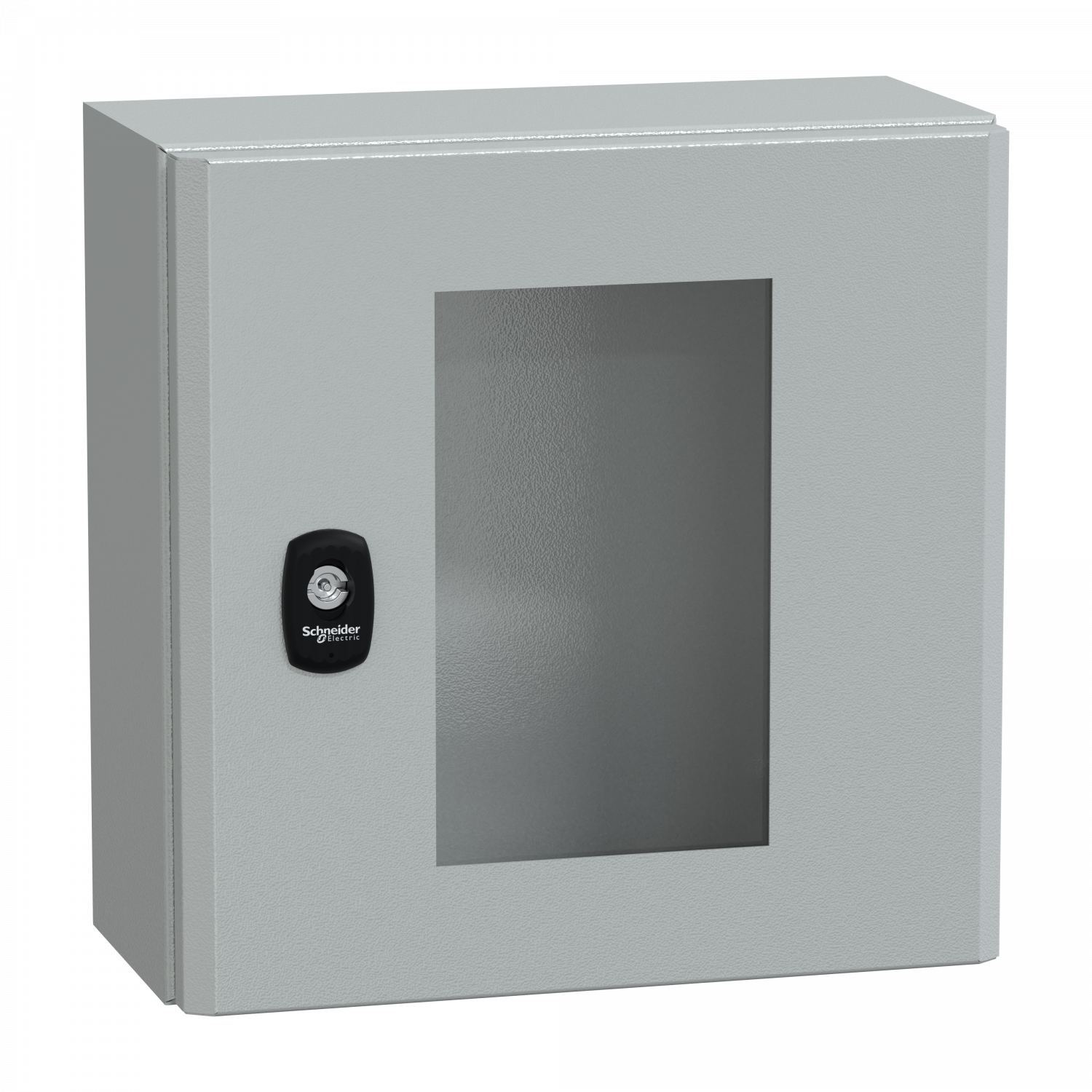 PanelSeT S3D - Enveloppe acier - H300xL300xP150 mm - porte vitrée