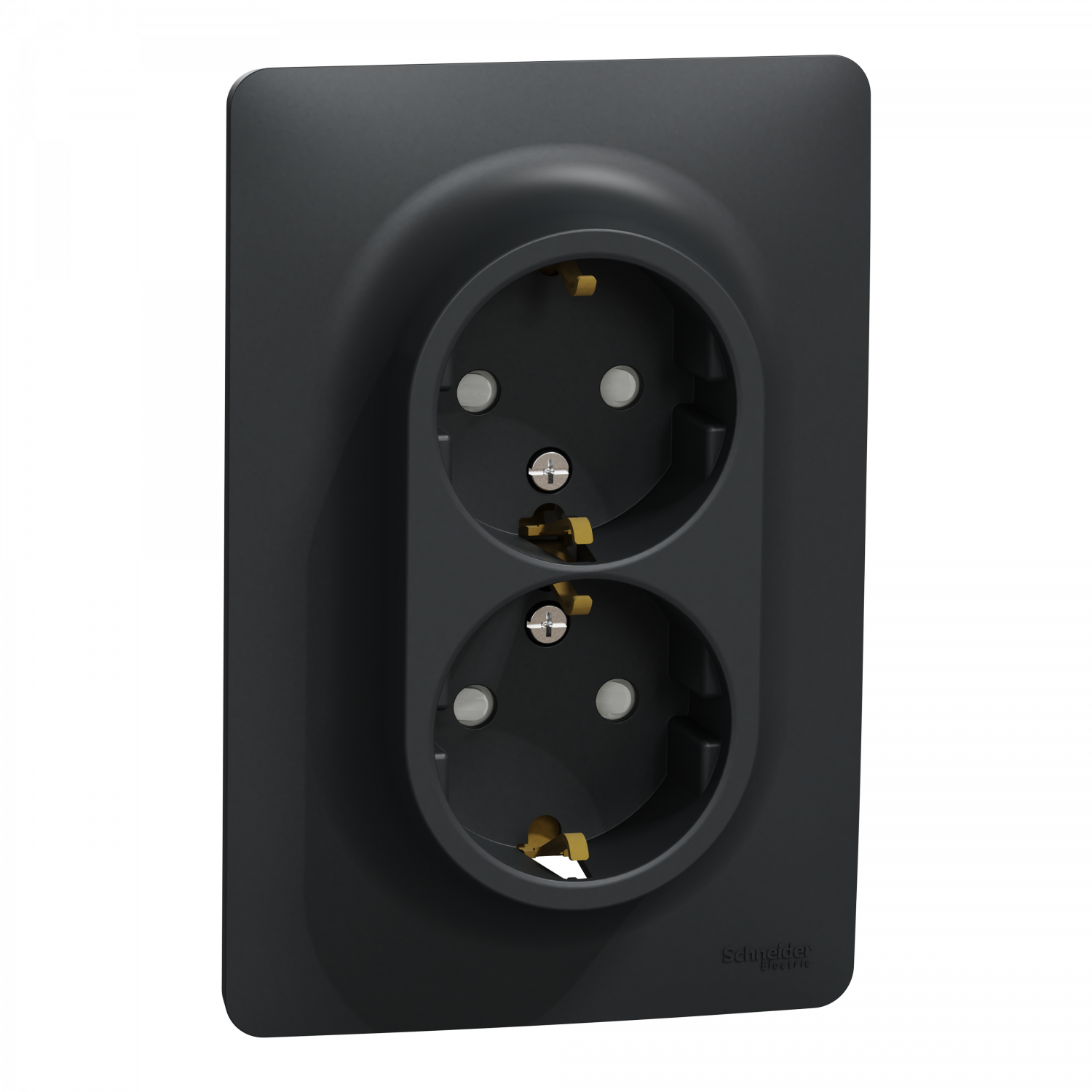 Unica - prise double 2P+T pour boîte 1P - DE - vis - Anthracite - méca + plaque