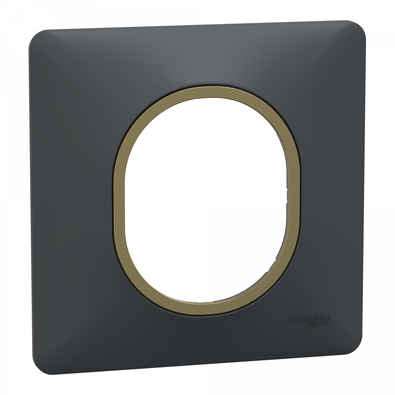 Ovalis - Plaque de finition - 1 poste Anthracite bague effet Laiton