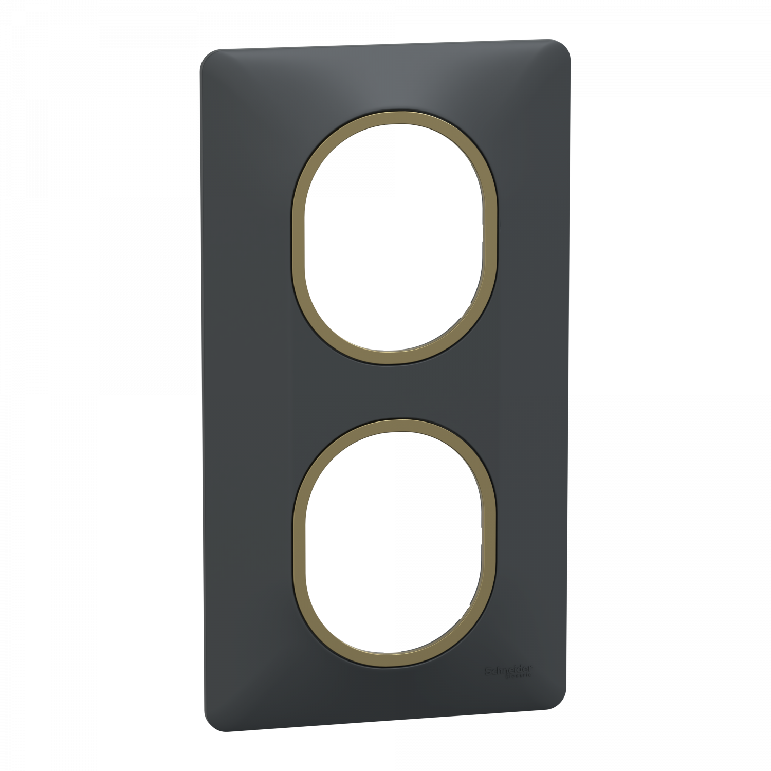 Ovalis - Plaque de finition - 2 postes Vertical - 71mm - Anthracite bague Laiton