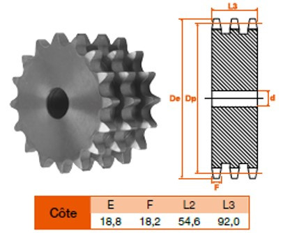 Disque 10 dents pas 31,75 triple