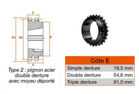 Pignon 19 dents pas 38,10 double 3020